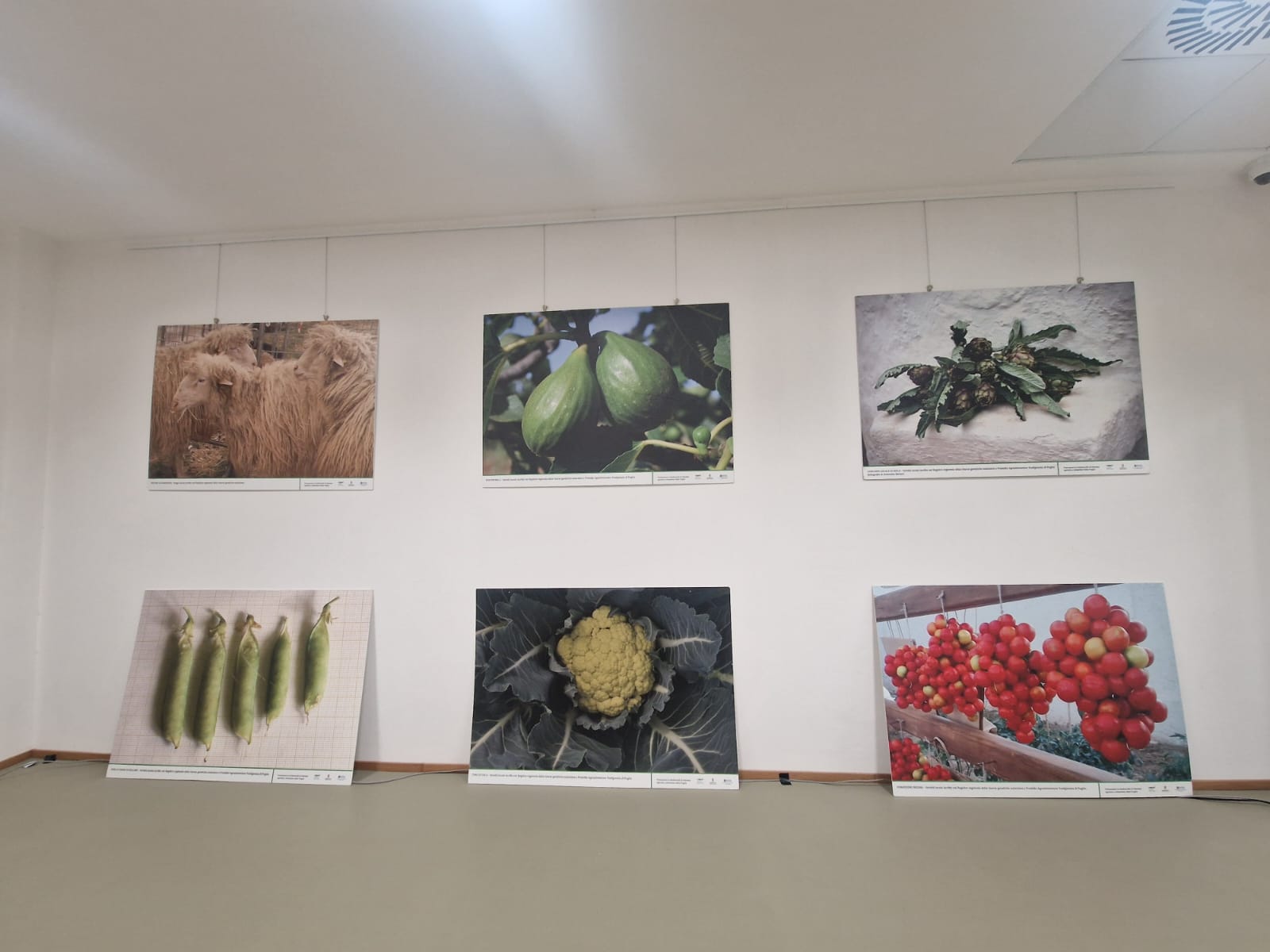 IX Settimana della Biodiversità Pugliese