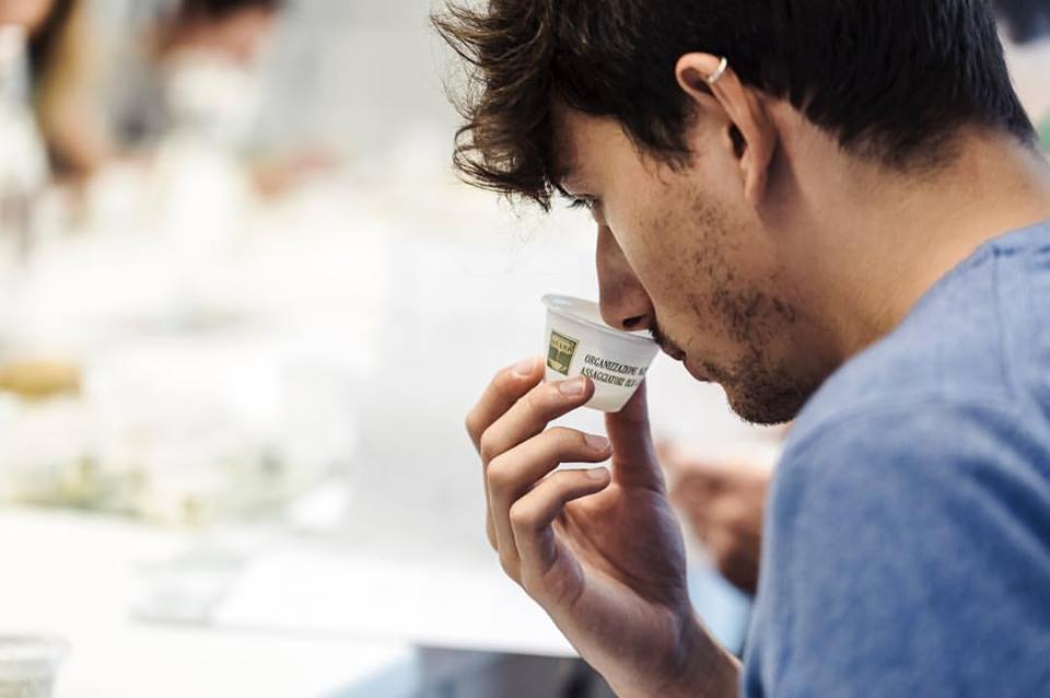 I SEGRETI DEL FRANTOIO