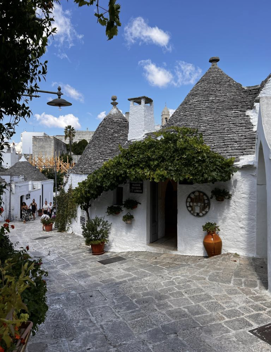 Tour della Valle d'Itria