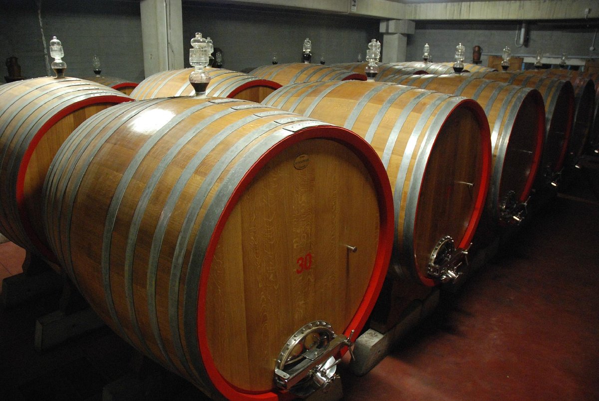 Tour dei vini Primitivo e Negroamaro: visita a 2 cantine e pranzo tipico