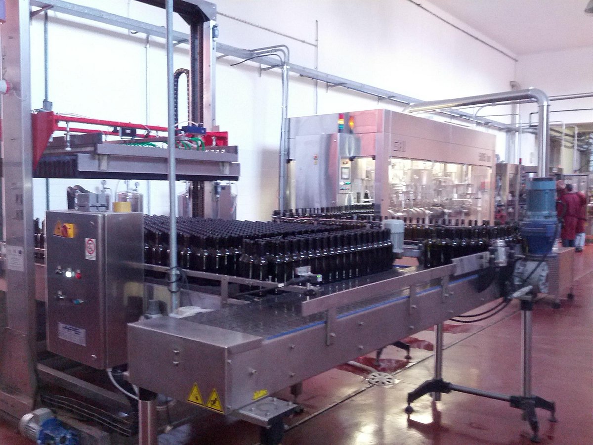 Tour dei vini Primitivo e Negroamaro: visita a 2 cantine e pranzo tipico