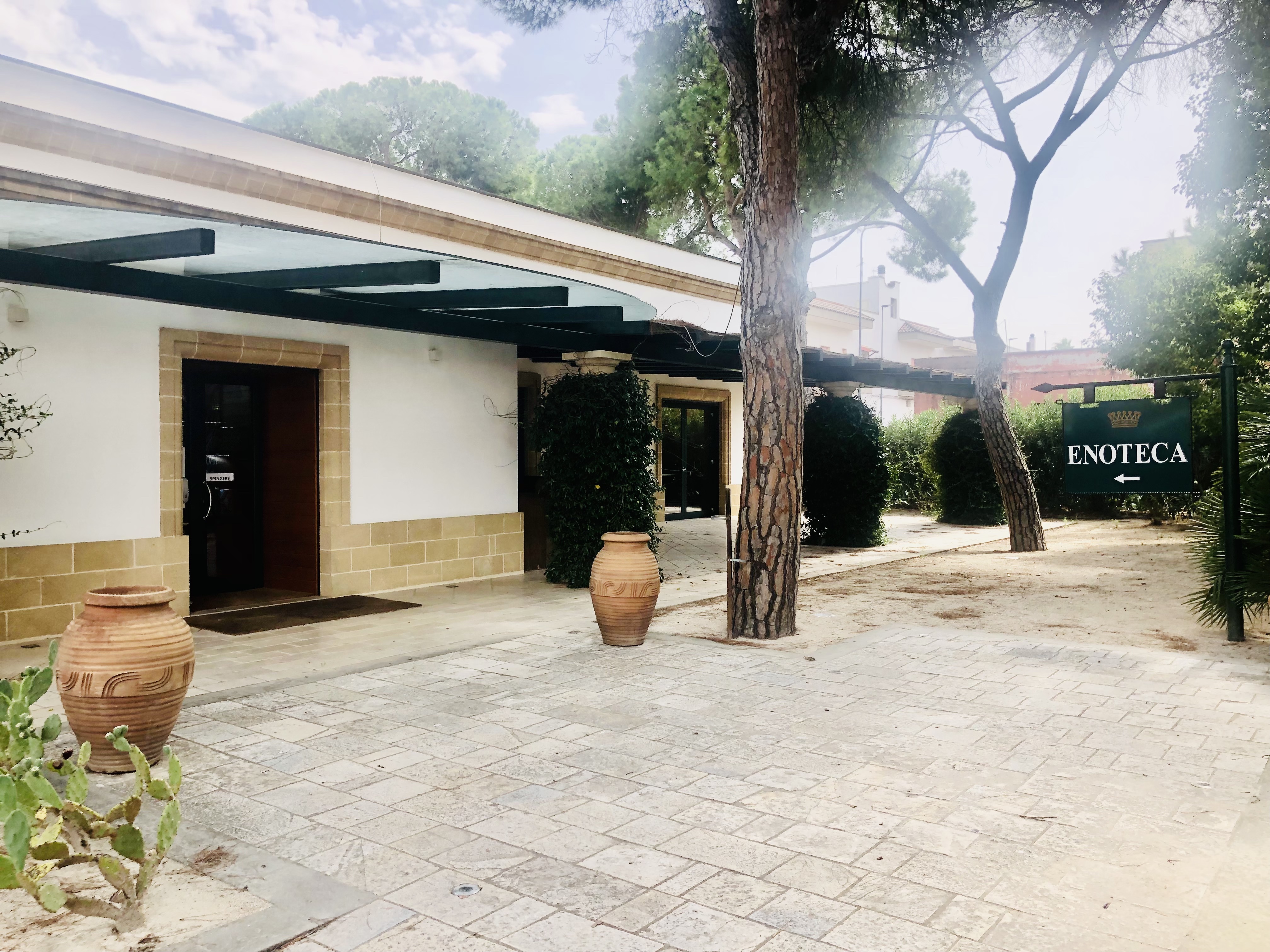 Tour dei vini Primitivo e Negroamaro: visita a 2 cantine e pranzo tipico