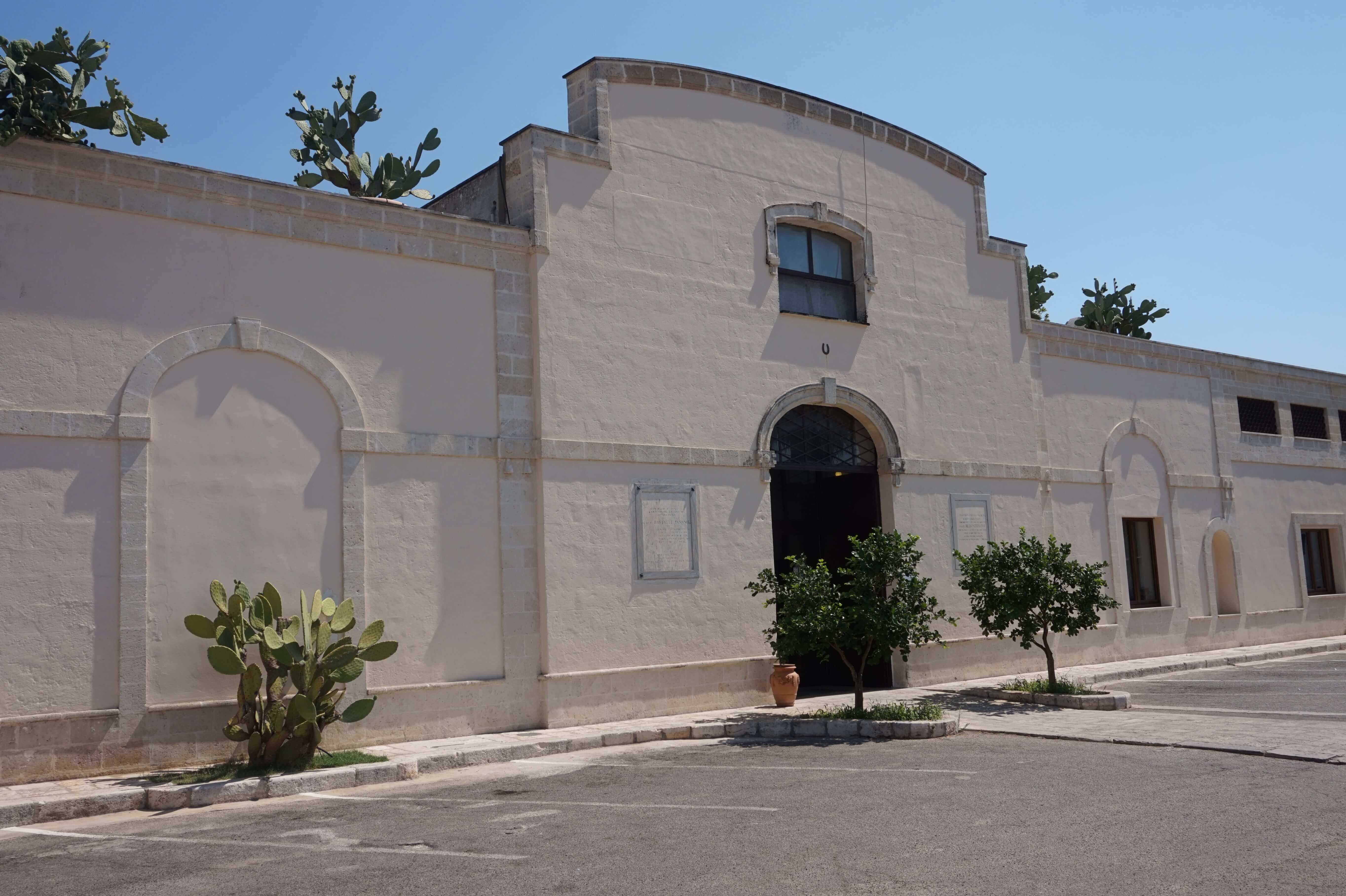 Tour dei vini Primitivo e Negroamaro: visita a 2 cantine e pranzo tipico