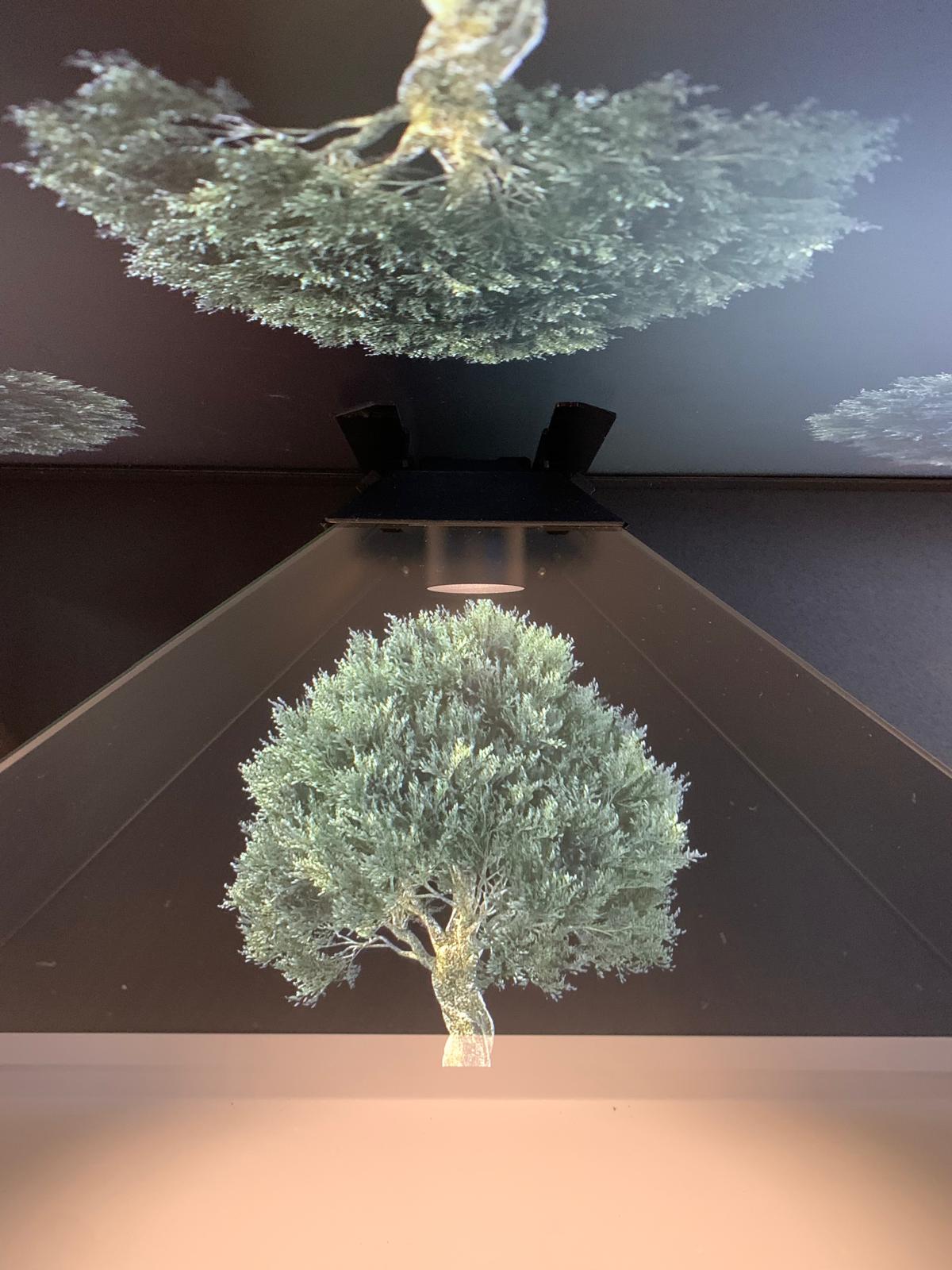 LE VIE DELL'INGEGNO - COME PASSARI IN VOLO NEL CUORE DI MAGLIE. Alla scoperta del MAITO - Museo Archeoindustriale di Terra d'Otranto, della storia industriale di Maglie e delle eccellenze del territorio