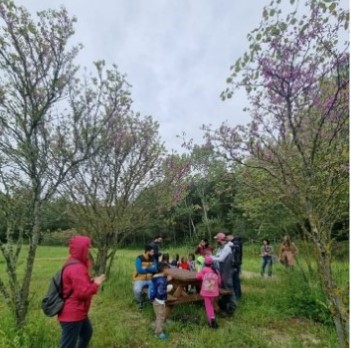 TOUR TRA MUSEO E CITTÀ - Alla scoperta di Cutrofiano, dell'arte dei figuli e dell' identità locale