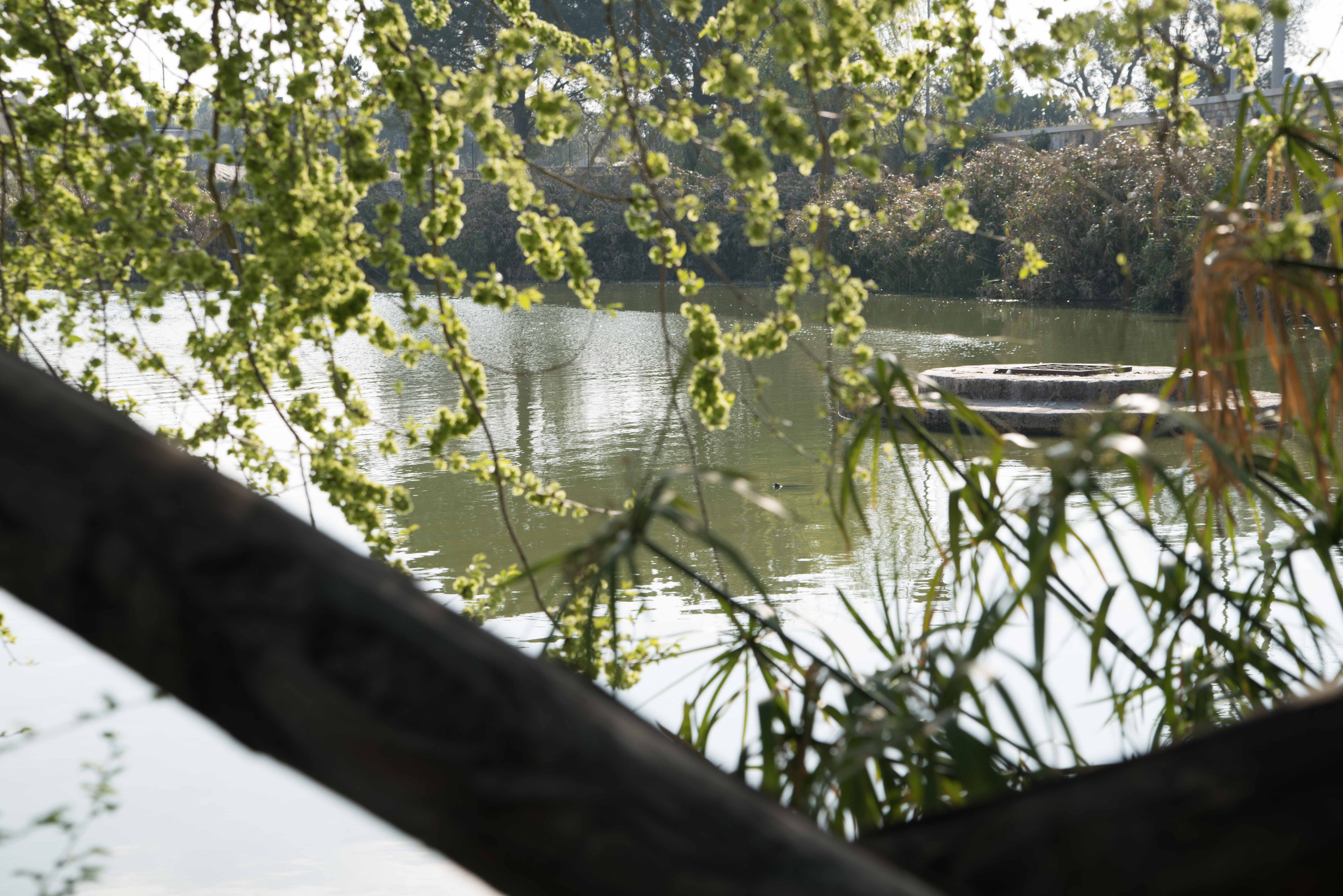 Bike tour dei laghi di Conversano