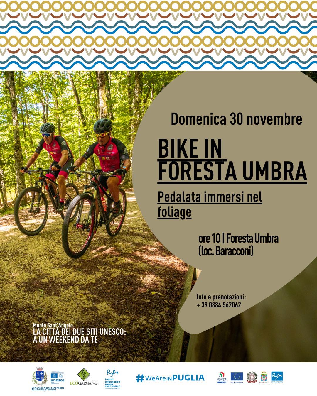 Foliage in Foresta Umbra - Bike tour tra sentieri mozzafiato