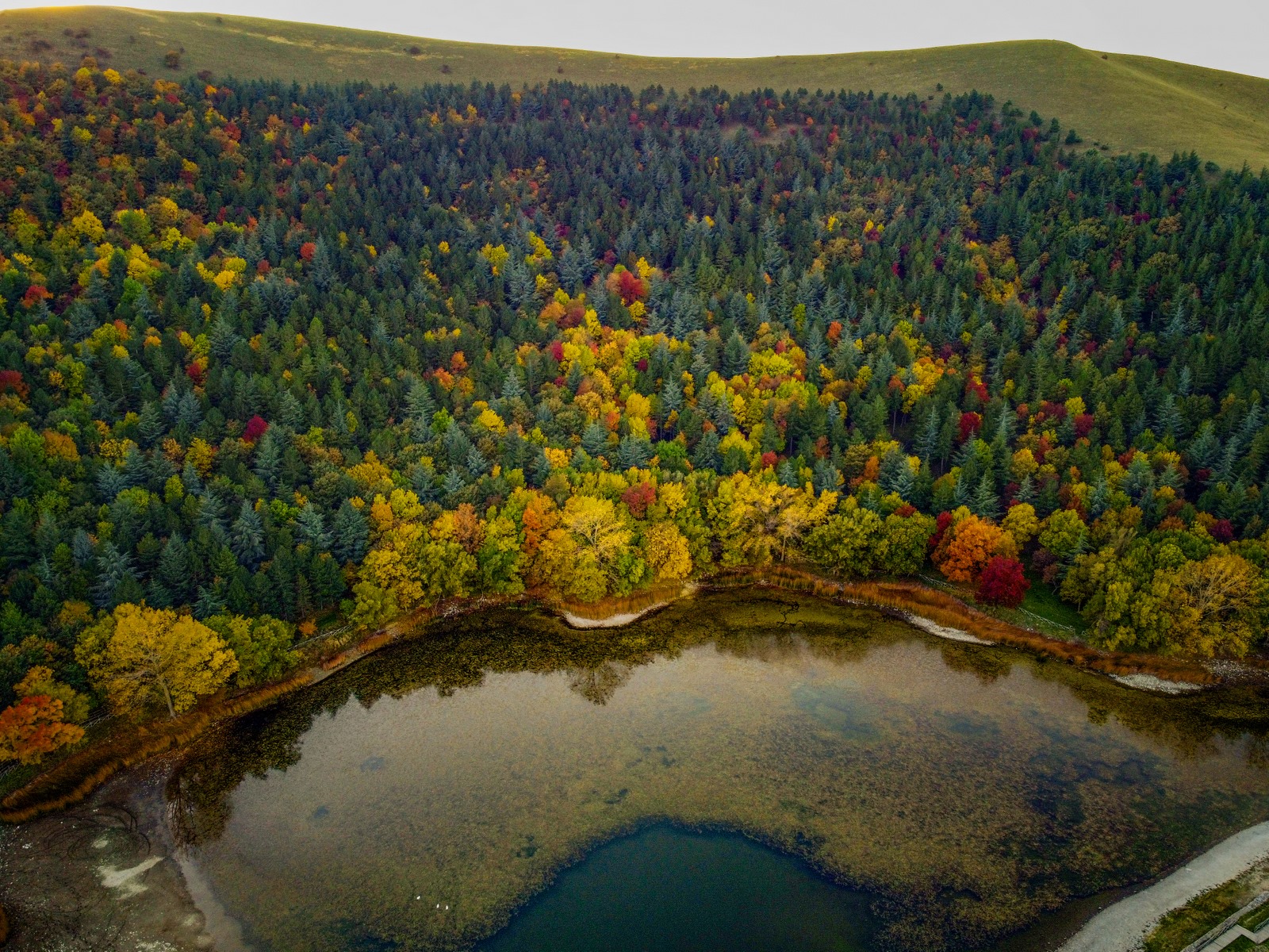 Foliage_escursione fotografica alla scoperta dei colori del bosco di Biccari