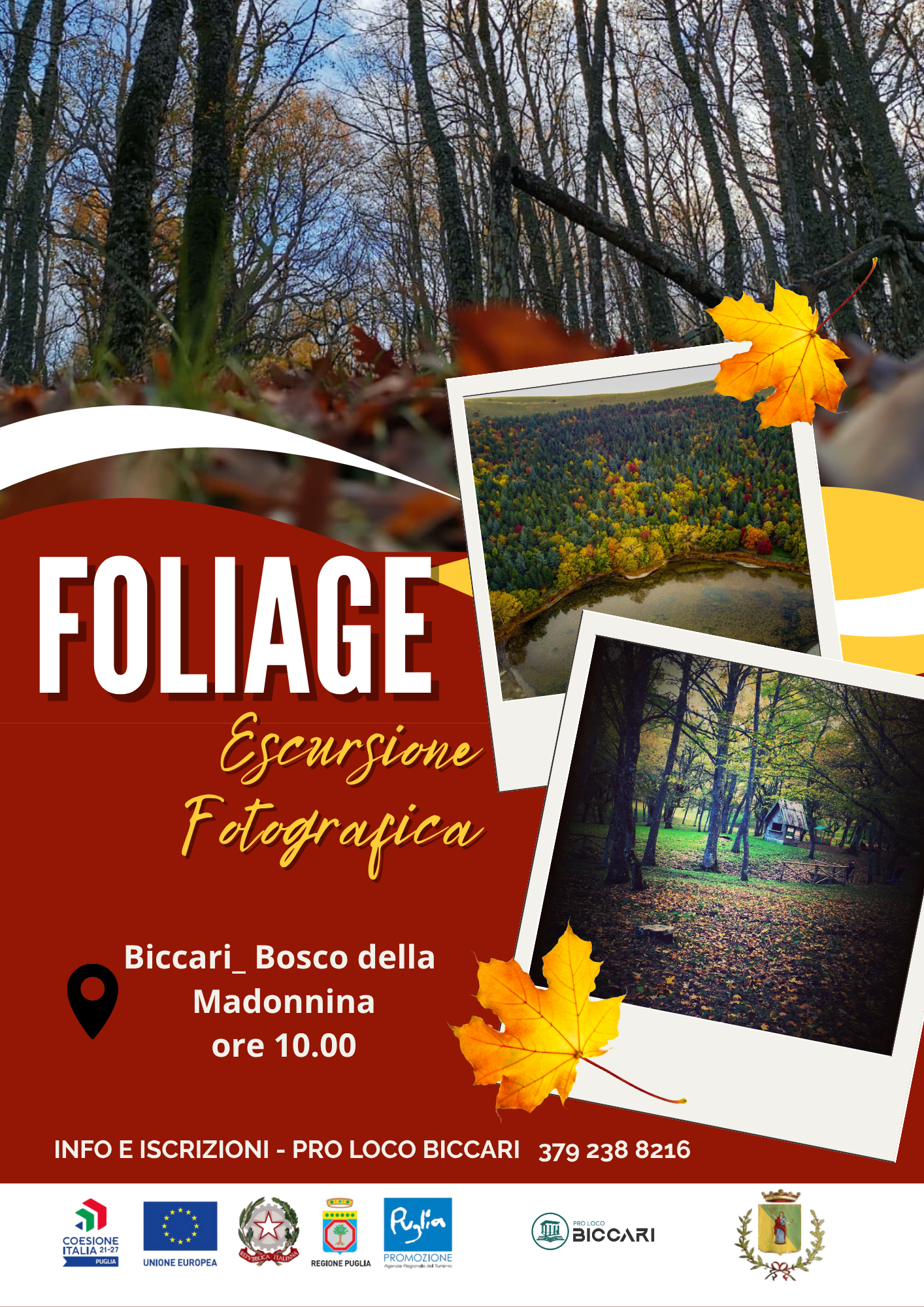 Foliage_escursione fotografica alla scoperta dei colori del bosco di Biccari