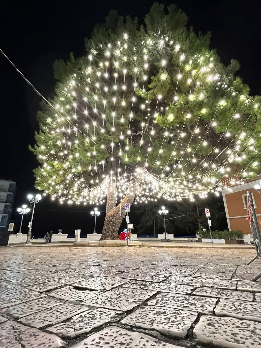 Festa di San Nicola e accensione delle luminarie e del grande albero di Natale