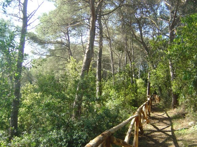 Passeggiata naturalistica