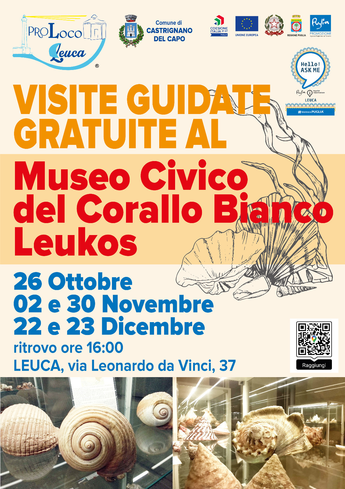 Visite guidate gratuite al museo civico del corallo bianco Leukos