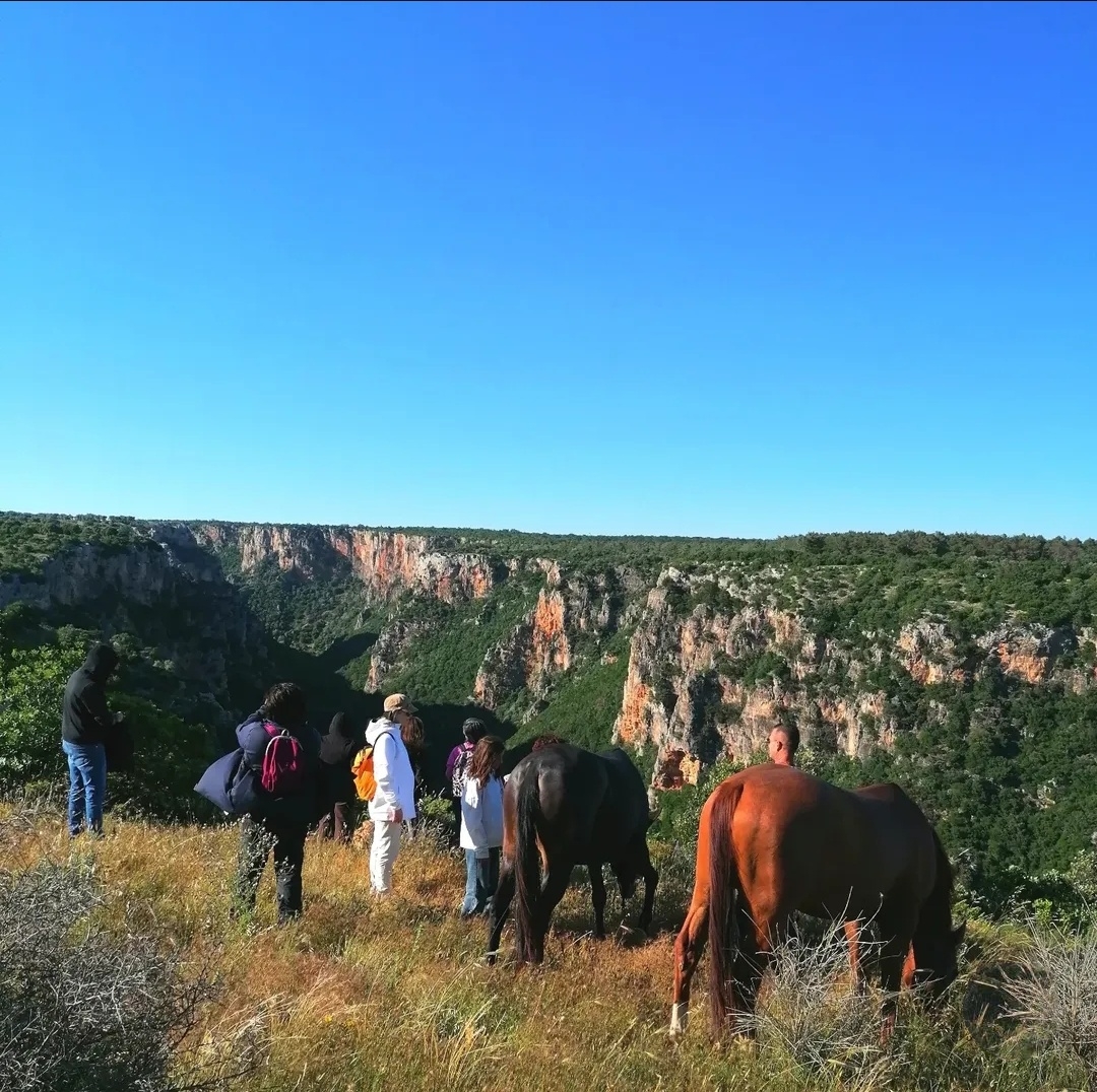 Connessioni Naturali: con i cavalli tra boschi e gravine