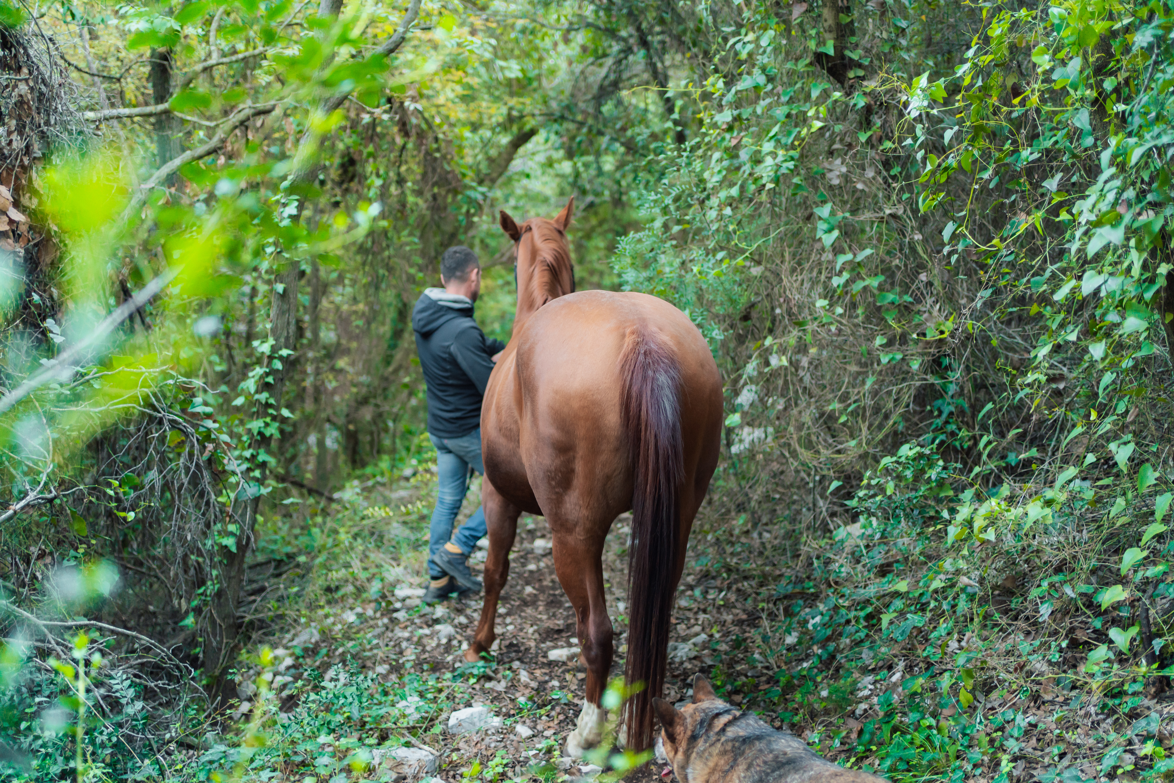 Connessioni Naturali: con i cavalli tra boschi e gravine