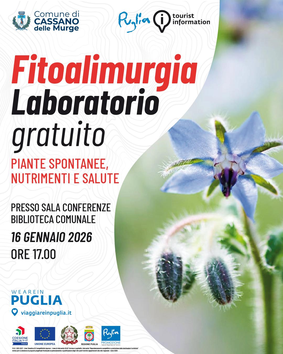 Fitoalimurgia laboratorio gratuito