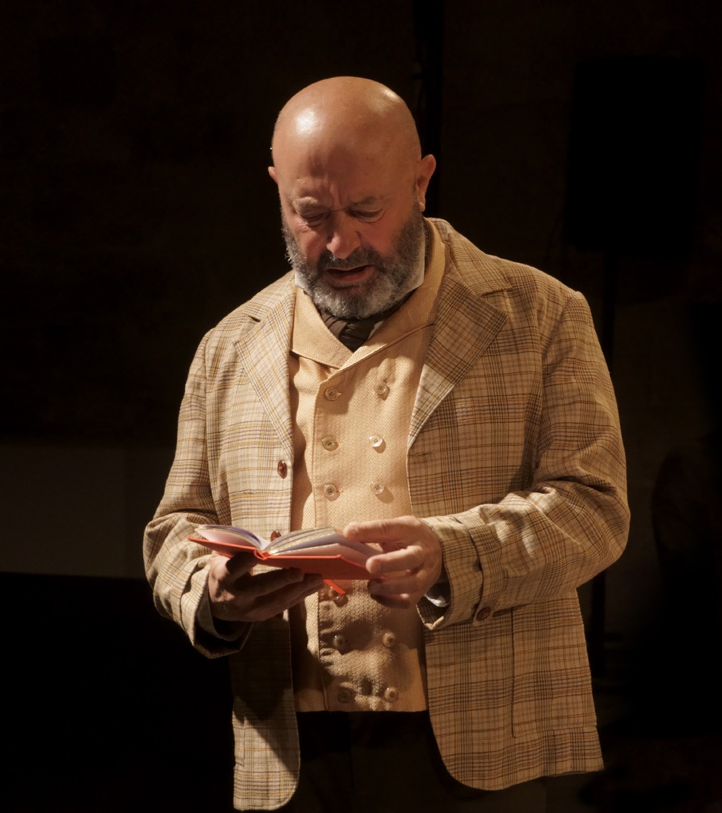 LETTERATURA di Arthur Schnitzler regia di Paolo Panaro con Marianna de Pinto, Francesco Lamacchia, Paolo Panaro. Produzione Diaghilev