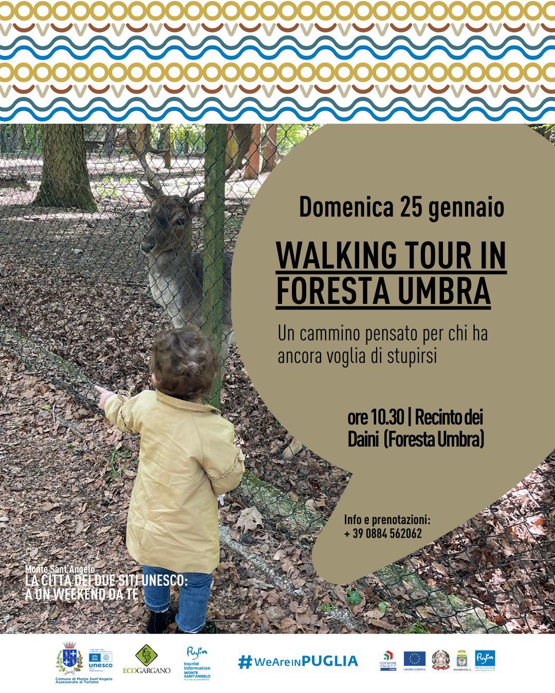 "LA FORESTA D'INVERNO" | WALKING TOUR IN FORESTA UMBRA - LA CITTÀ DEI DUE SITI UNESCO, A UN WEEKEND DA TE