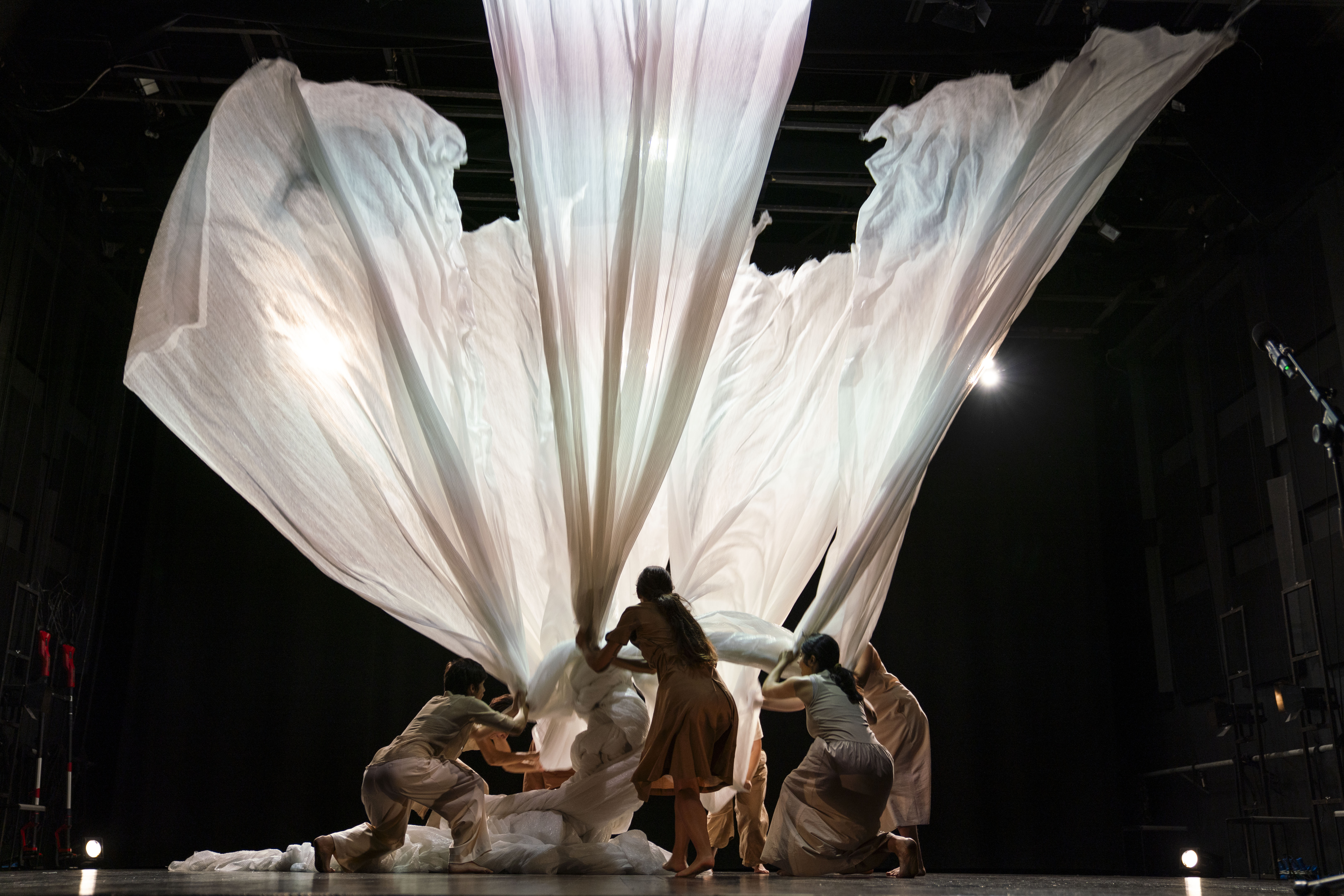 X di Xylella, Bibbia e alberi sacri - Teatro Koreja in collaborazione con Potenziali Evocati Multimediali