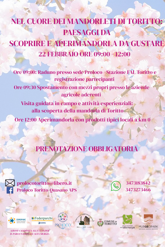 Nel cuore dei mandorleti di Toritto: paesaggi da scoprire e aperimandorla da gustare