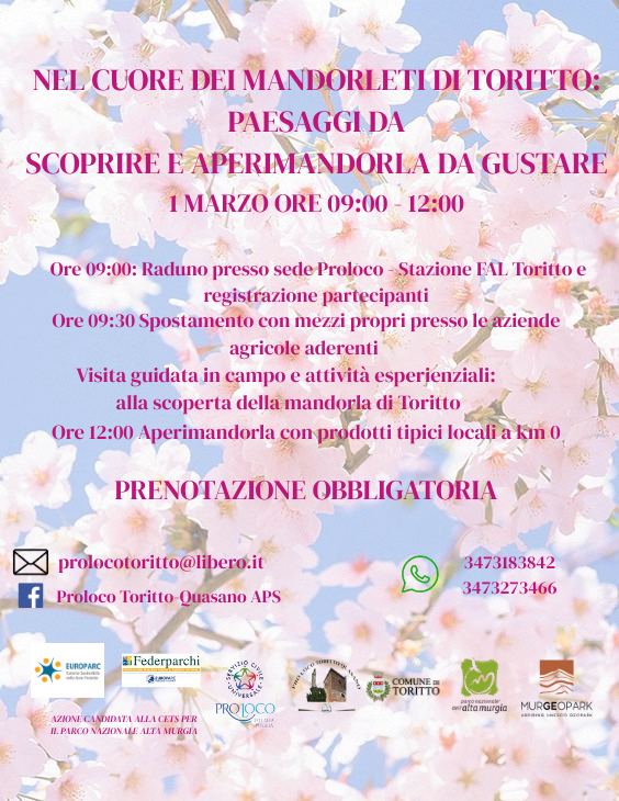 Escursione tra i mandorli in fiore - Toritto