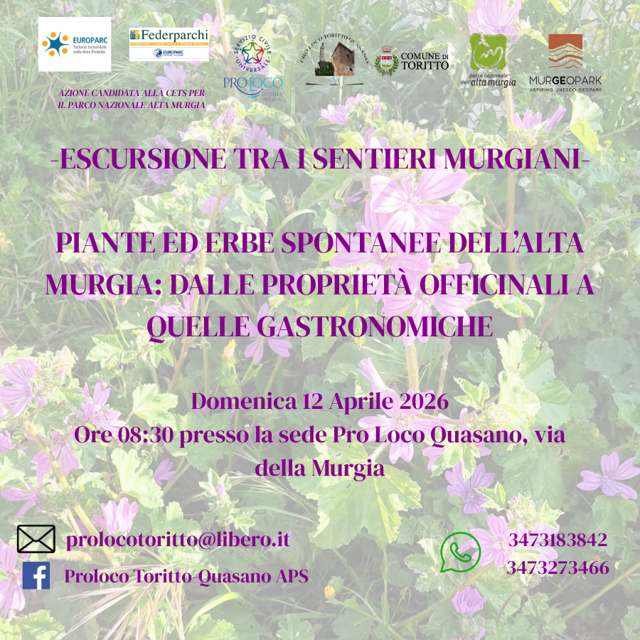 ESCURSIONI A QUASANO