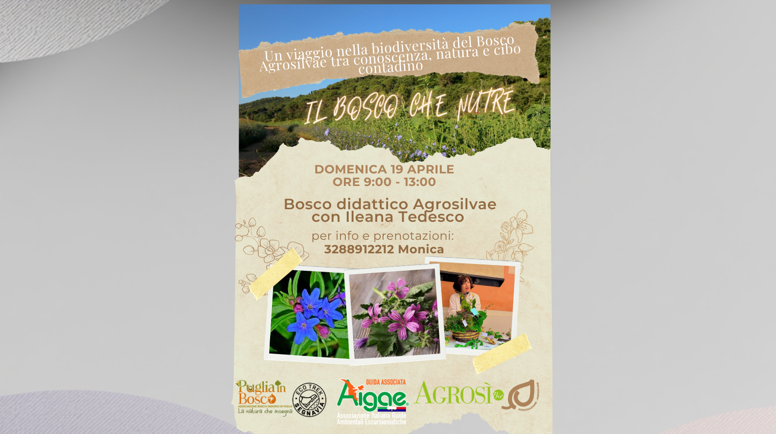 IL BOSCO CHE NUTRE  - Un viaggio nella biodiversità del Bosco Agrosilvae tra conoscenza, natura e cibo contadino