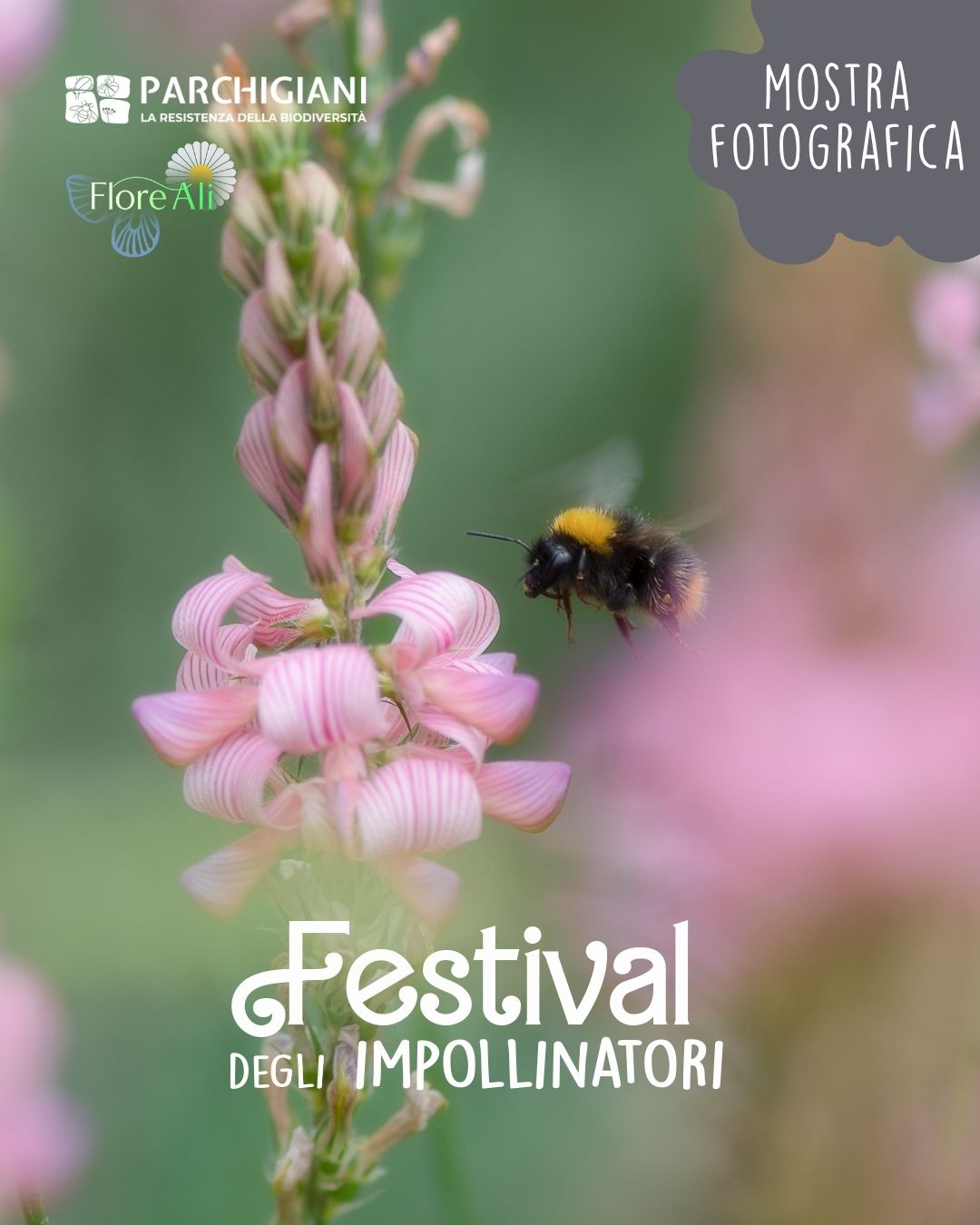 Festival degli Impollinatori