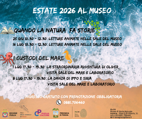 Estate al Museo di Storia Naturale - Foggia