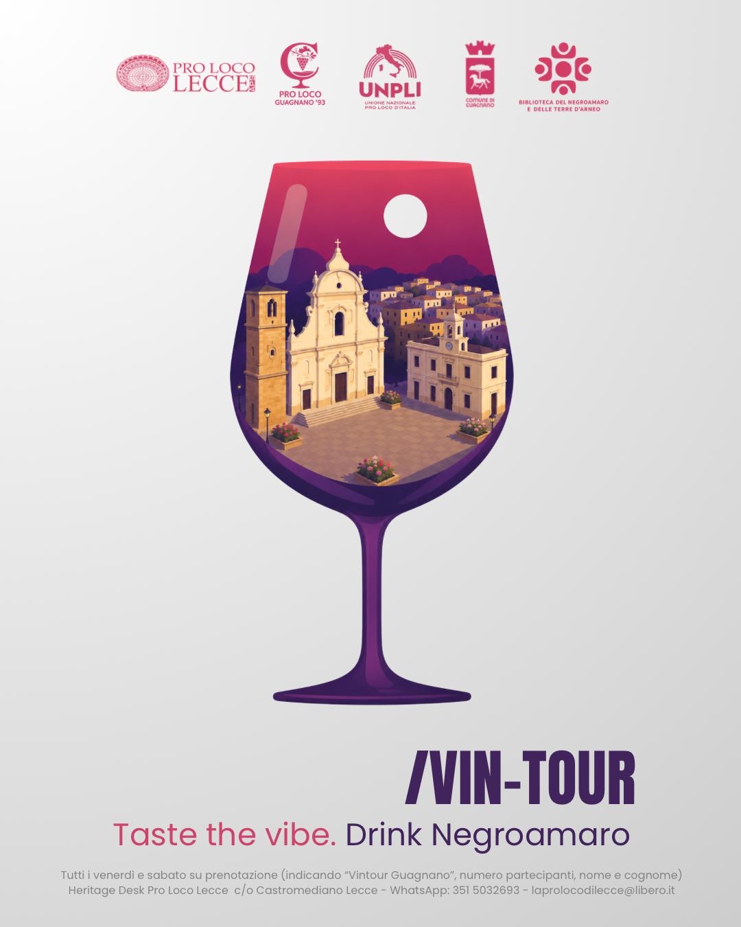 VIN-TOUR NELLE TERRE DEL NEGROAMARO