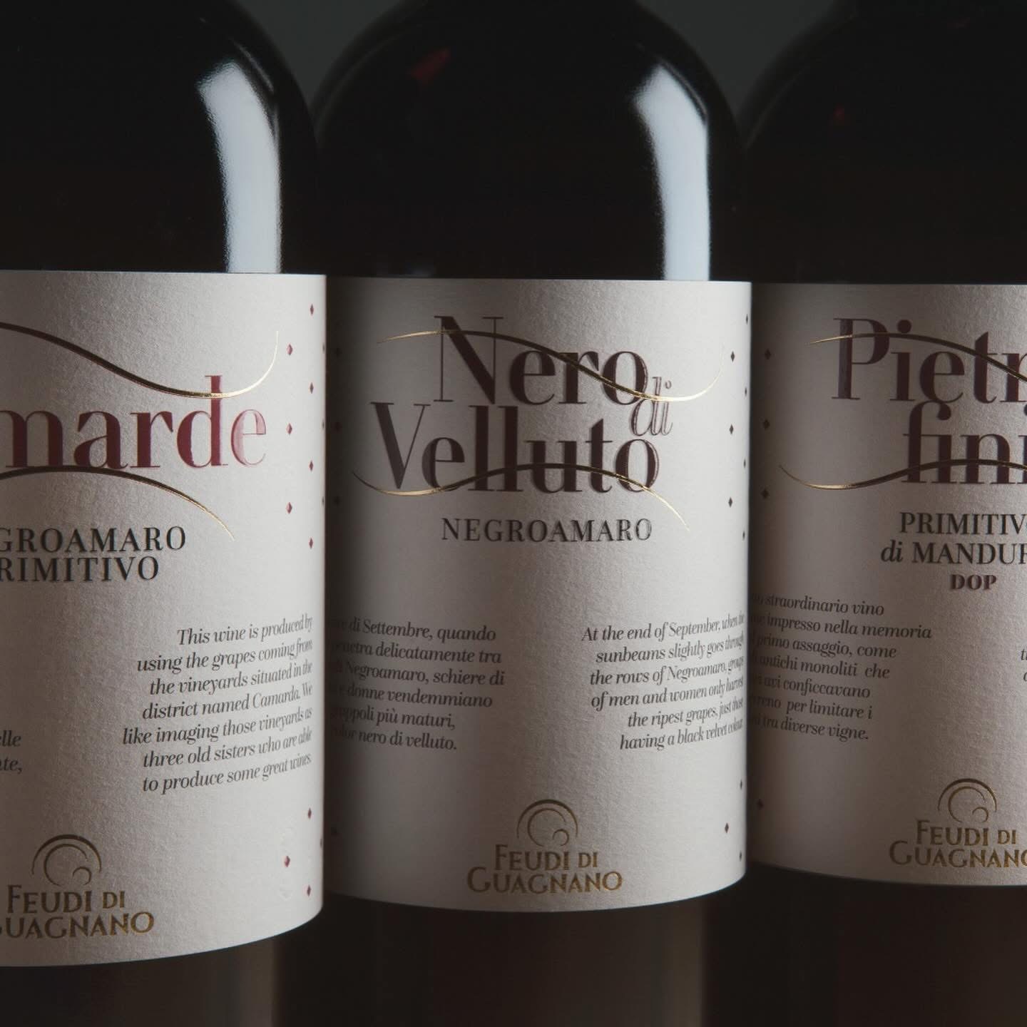 VIN-TOUR NELLE TERRE DEL NEGROAMARO