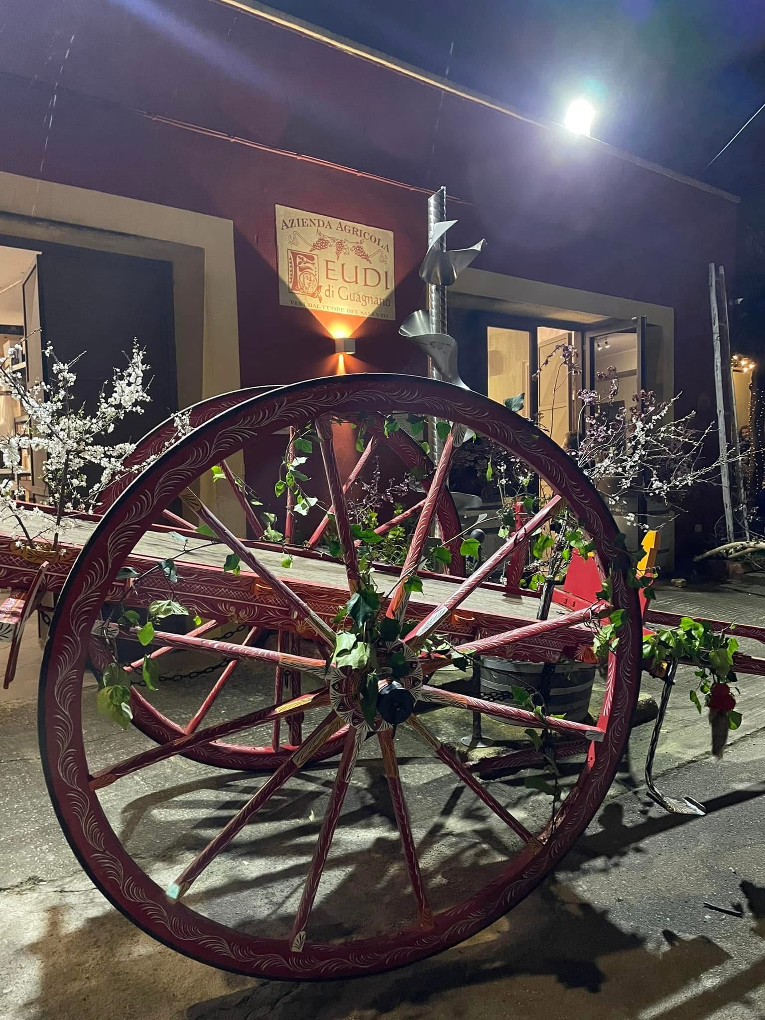 VIN-TOUR NELLE TERRE DEL NEGROAMARO