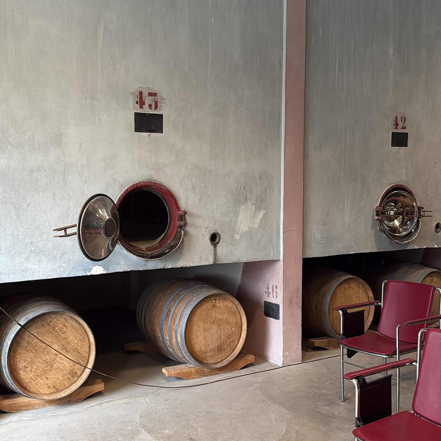 VIN-TOUR NELLE TERRE DEL NEGROAMARO
