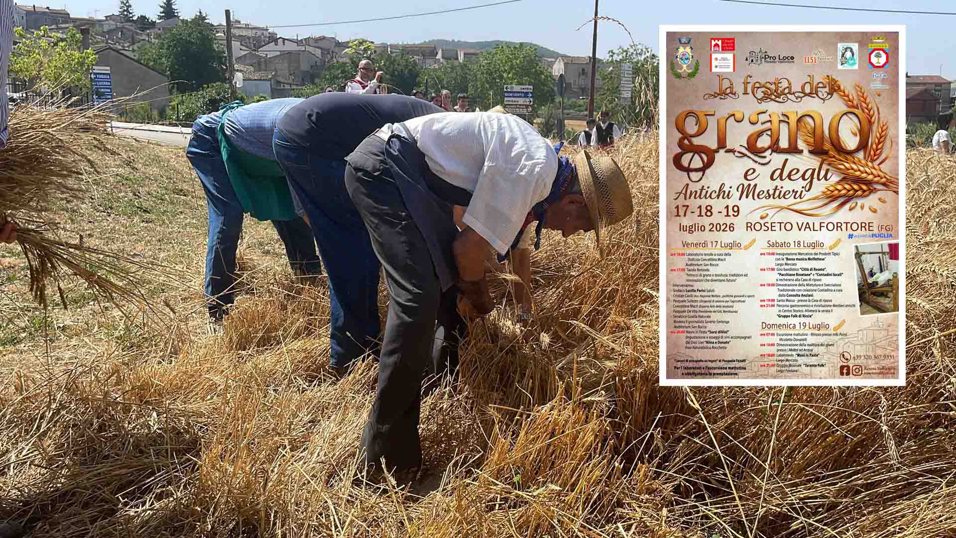 Roseto Valfortore si veste d'oro: torna la Festa del Grano e degli Antichi Mestieri