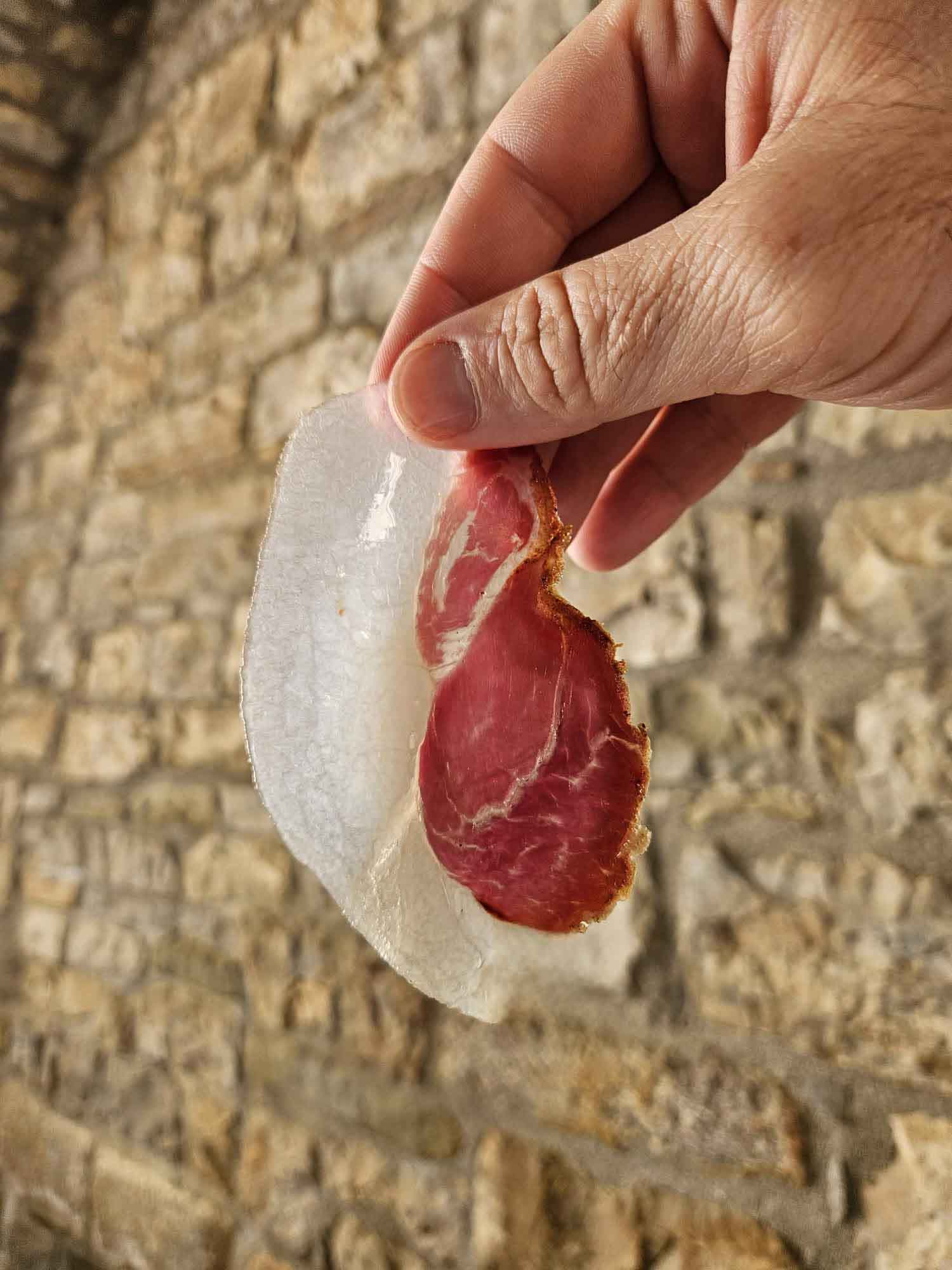 La Mangalica protagonista a Roseto Valfortore: il maiale "riccio" che conquista la gastronomia d'eccellenza