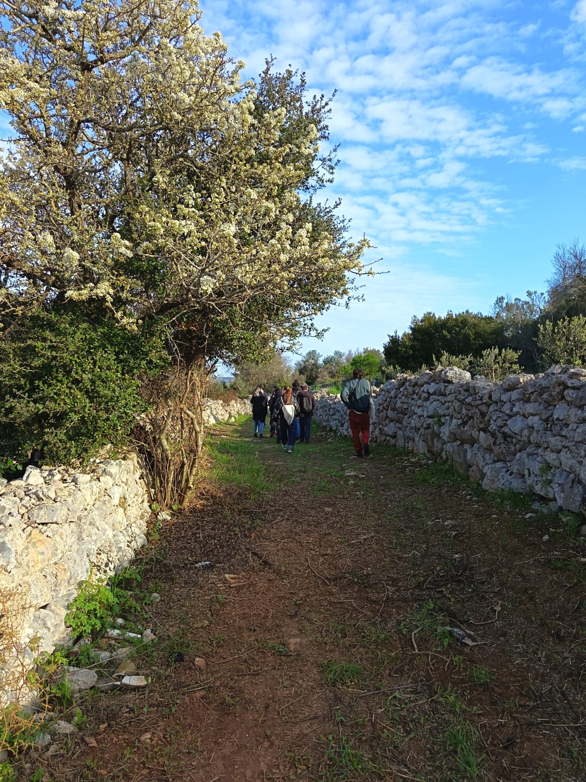 Walking tour lungo la via Sallentina