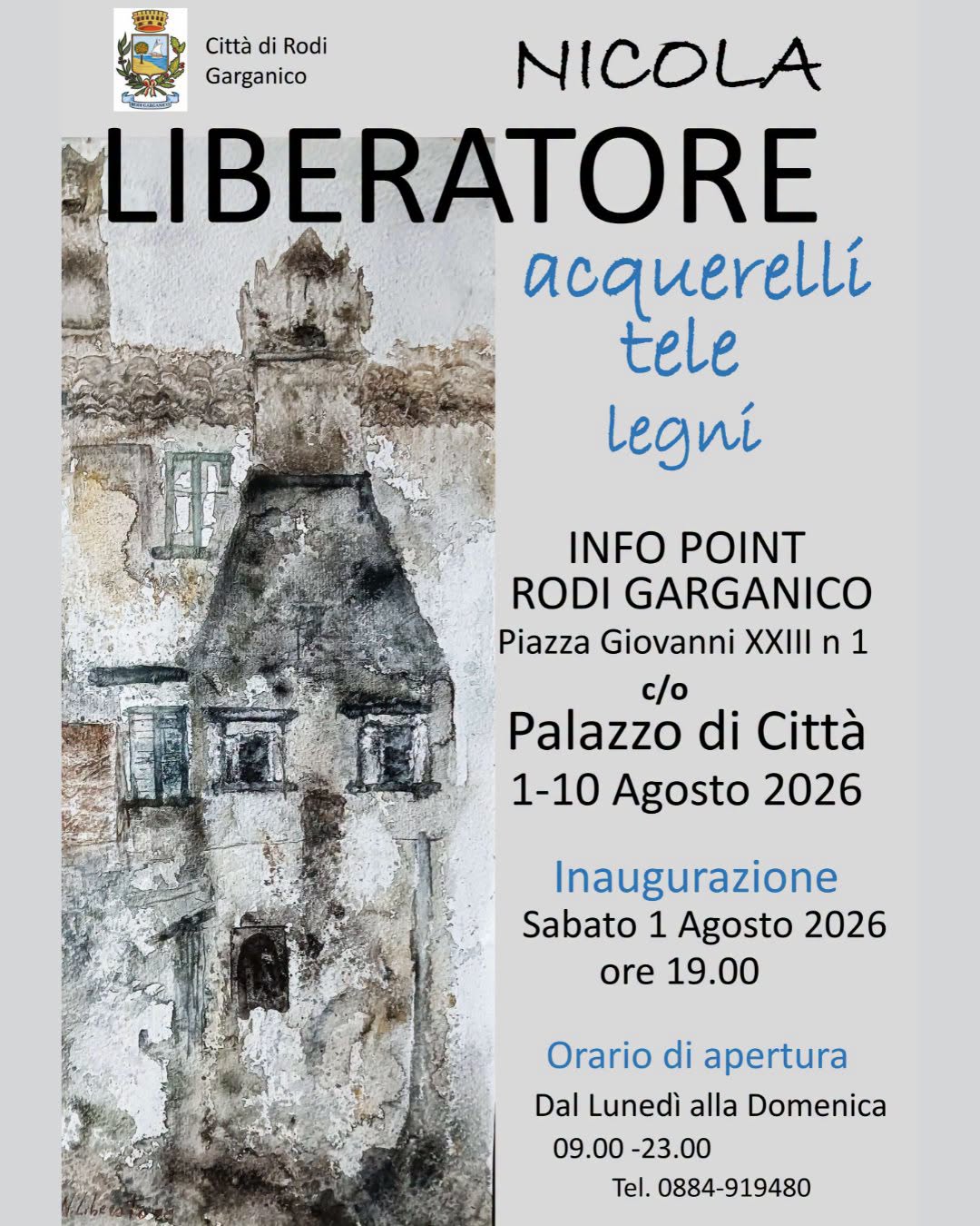 Acquerelli, tele e legni