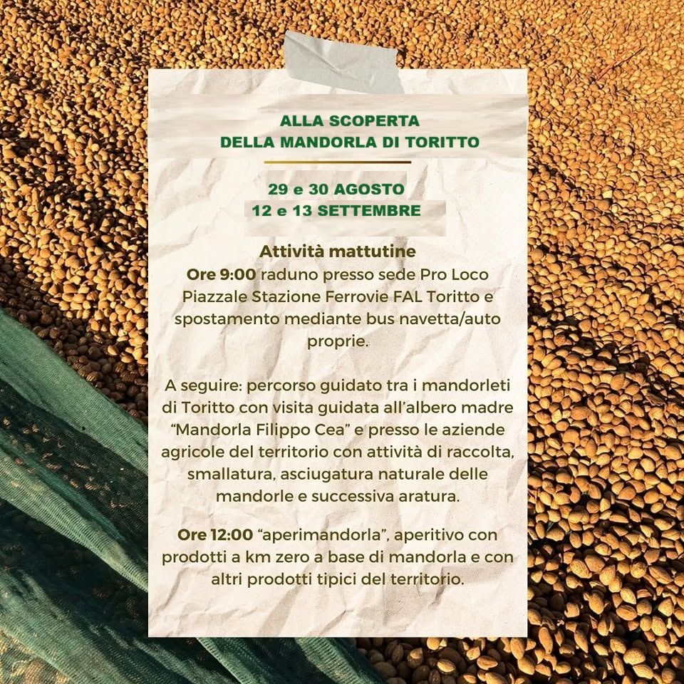 Alla Scoperta della Mandorla di Toritto