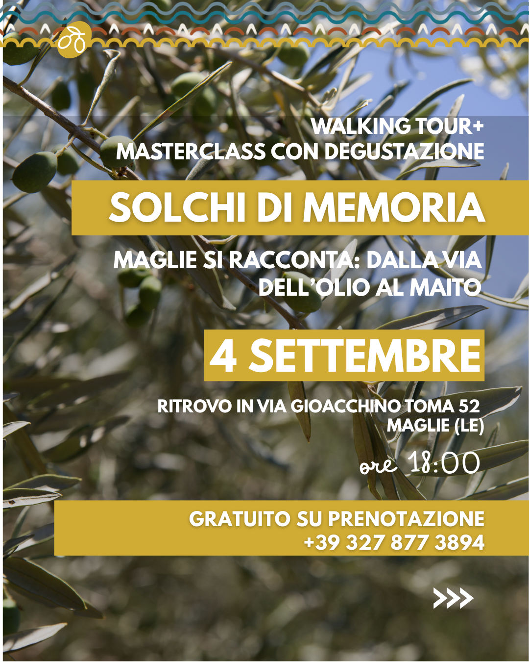 Solchi di Memoria: dalla via dell'olio al Maito Museo con degustazione di olio