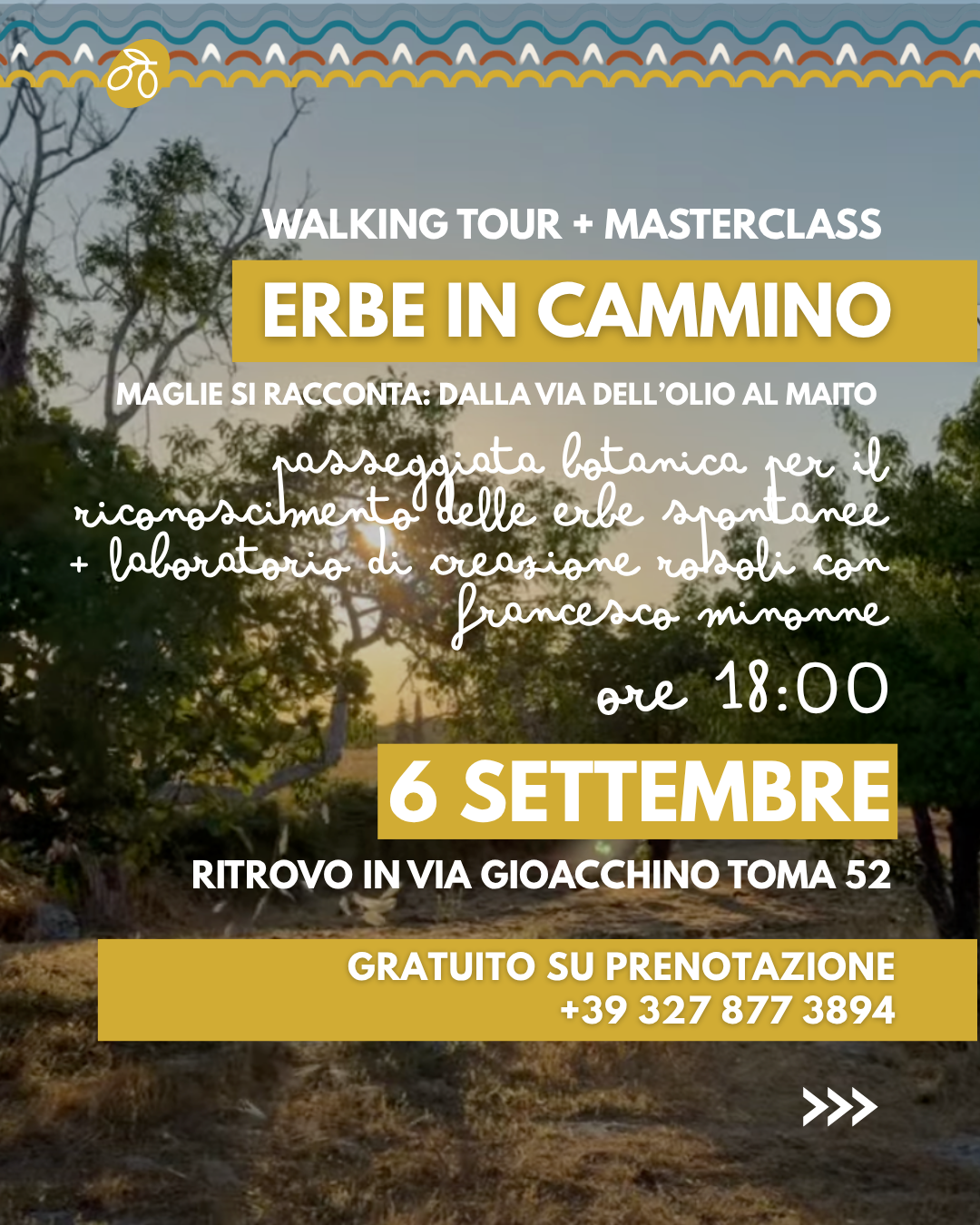 Erbe in cammino: dalla via dell'olio al Maito museo con laboratorio