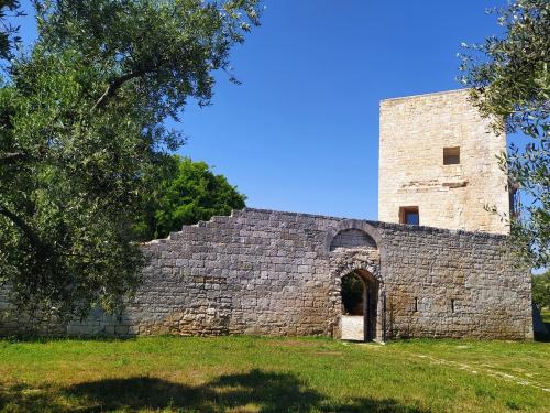 Apulia by Train: Notte a Balsignano. Arte, olio e tradizioni pugliesi - A Modugno- da Bari in treno AR