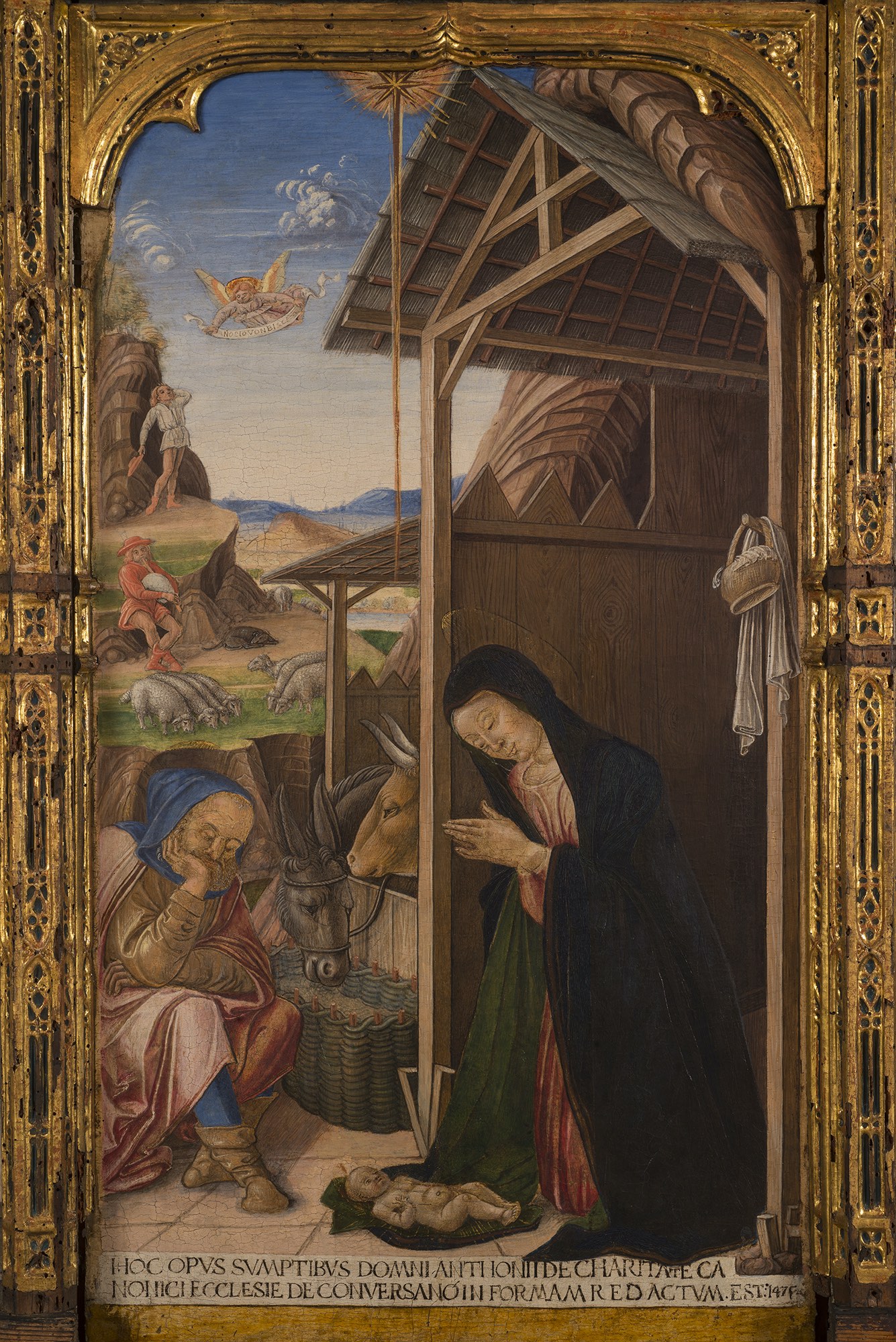Vivarini Bartolomeo e aiuti di Bottega, Polittico di Conversano: La Natività; SS. Francesco, Andrea, Giovanni Battista, Pietro, Paolo, Girolamo, Domenico e Teodoro, tavola, cm 225 x 270, cat 581 - Dettaglio