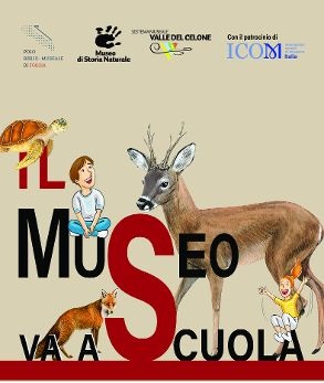 Polo Biblio - Museale di Foggia e Museo Valle del Celone : piccola sezione zoologica museale nelle scuole